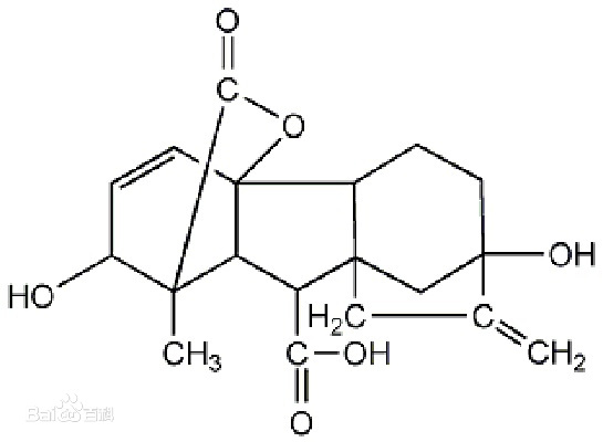 Gibberellic acid ��ù�� �ṹʽ.jpg