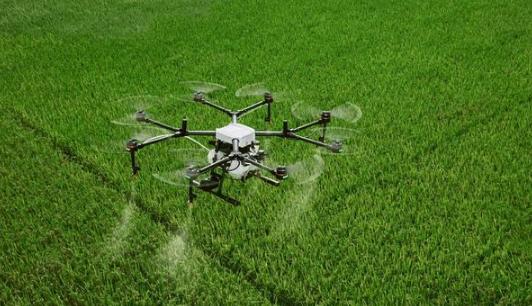 ũҩҵ��.jpg